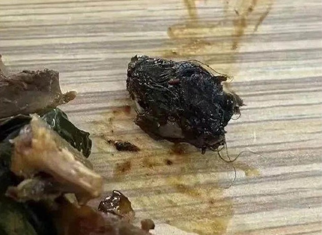 #江西公布鸭脖事件调查结果#【江西工职院“6·1”食品安全事件调查处理情况通报】