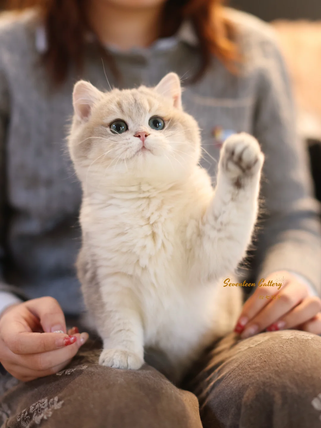 新年礼物｜🏠新家南宁✨