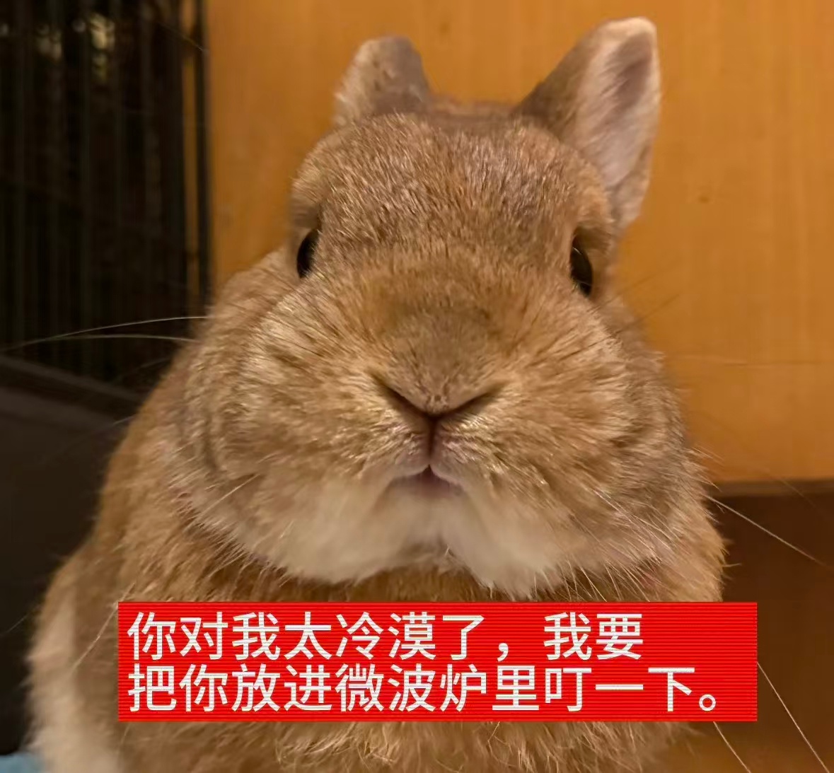迪丽热巴 不理我是吧，那我就把你们放进烤箱，180°烤20分钟，中间翻个面，然后