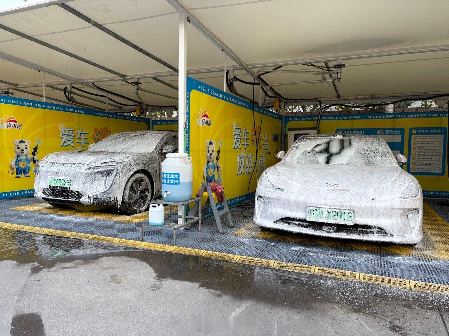 家里07跟L6一起洗澡了，算不算鸳鸯浴？没办法泉州太多灰了 