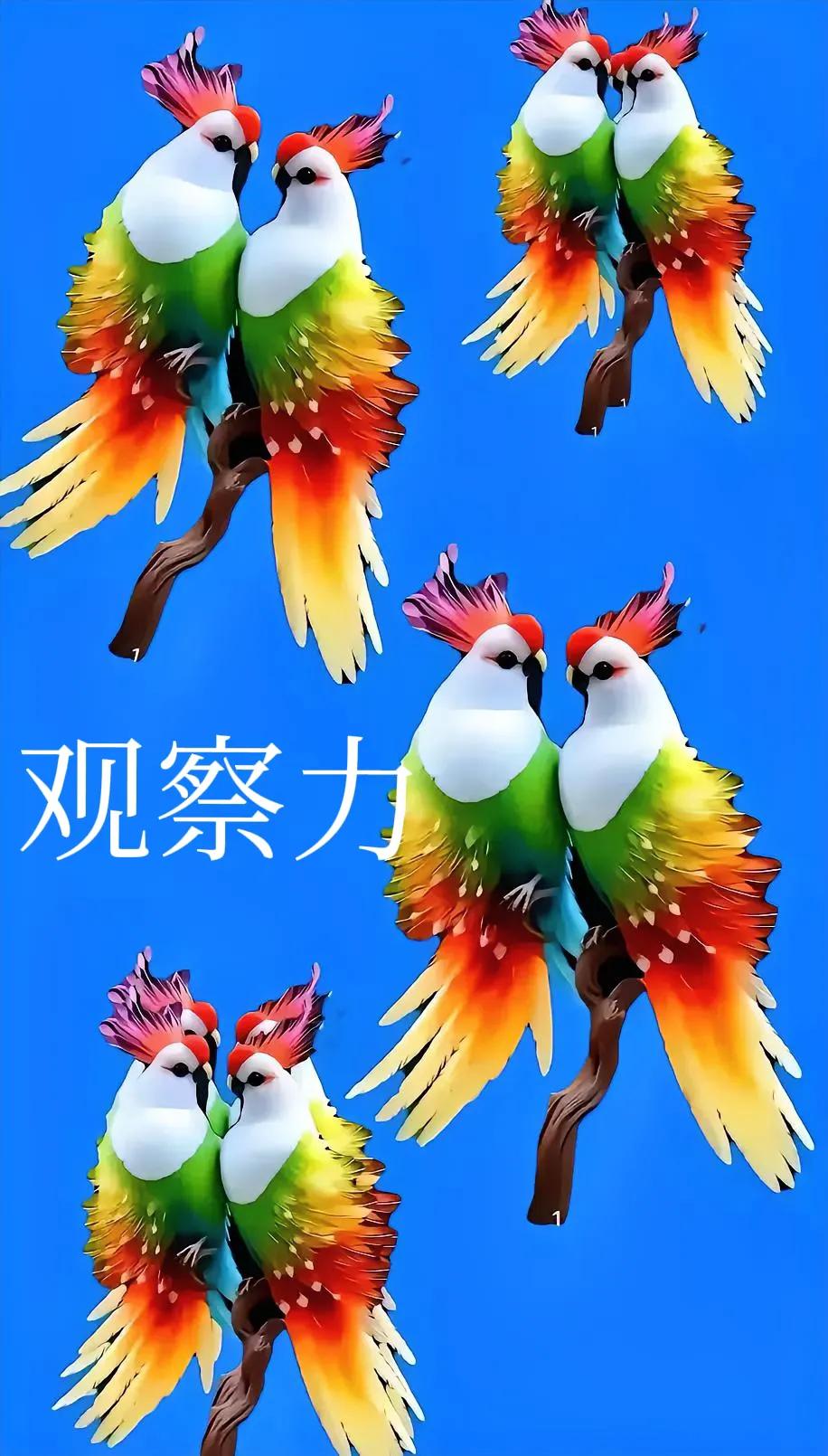 眼力考察，究竟几只？
图中有几鸟 考眼力就靠它了 谁是最强眼力