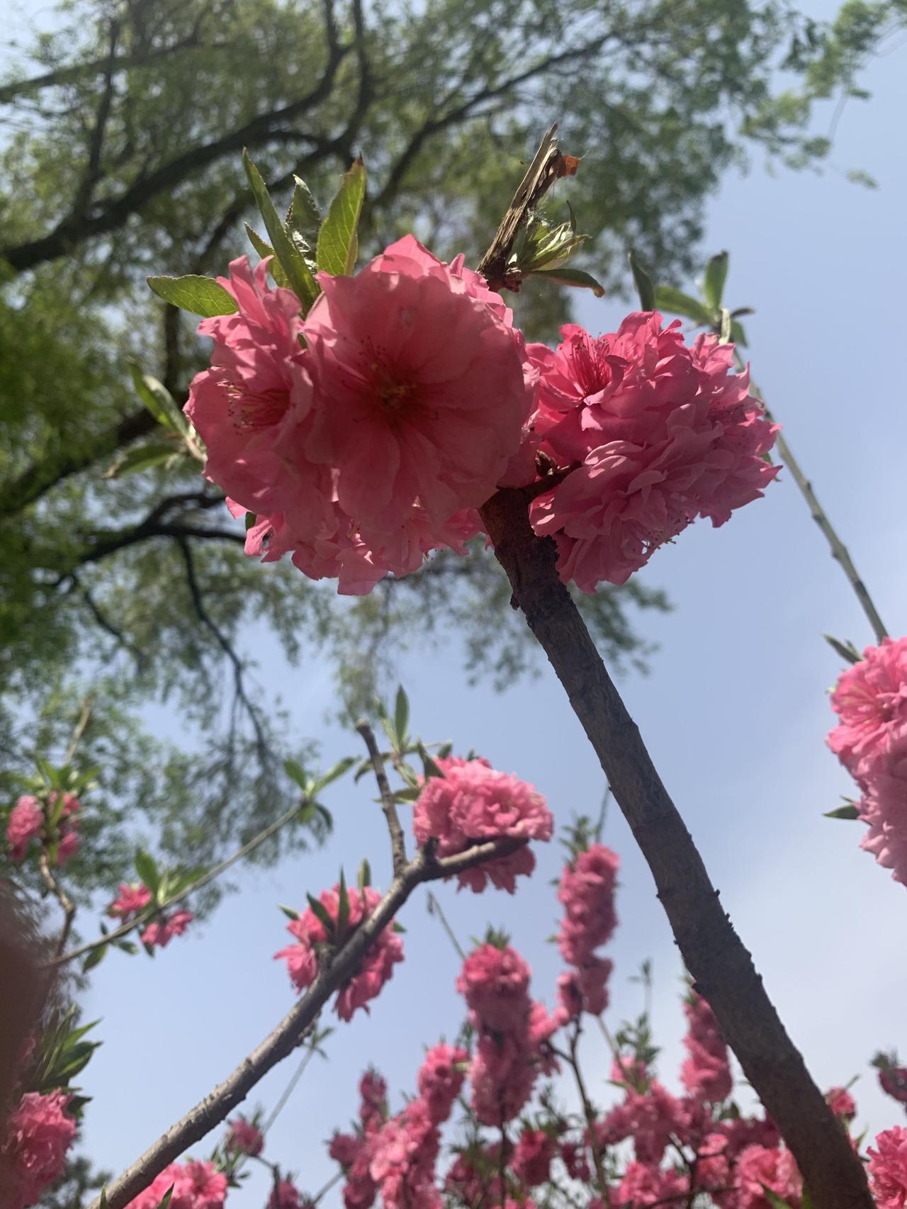 有没有哪位影视明星，
演技被吹上了天，
但是你看他（她）演的，
总觉得尴尬的离谱