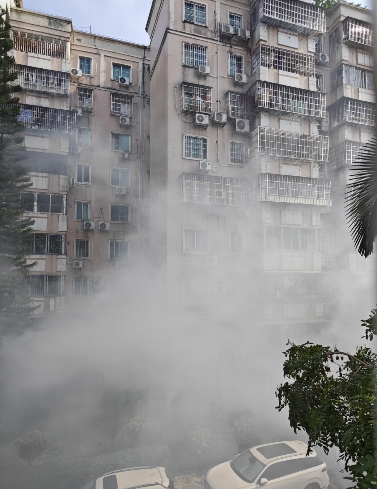 广东灭蚊虫的工作力度大，雨水增多蚊子适宜生存，没办法。感觉蜻蜓、蜘蛛、黄蜂、蝙蝠
