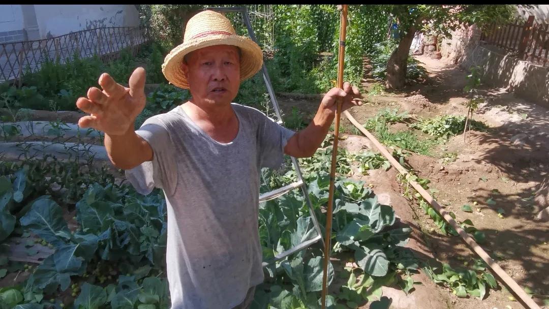 仲夏记者走基层之一：

皋兰百年梨园守护人——

7旬“天把式”魏至玉
想把绝活