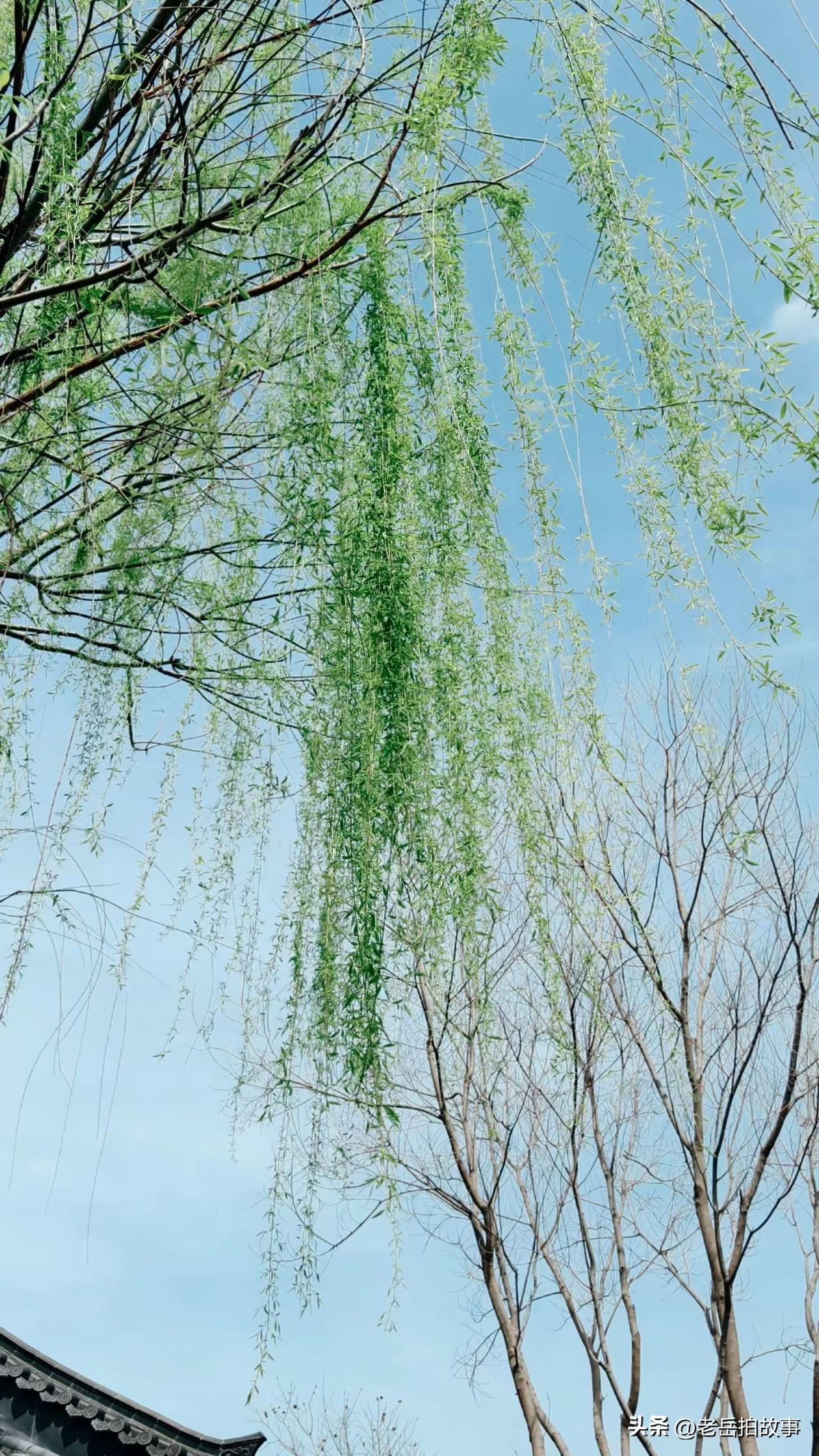 你们小区里有这样的人吗？明明自己已经退休了，而且腿脚不方便，走路迟缓，却非要在早