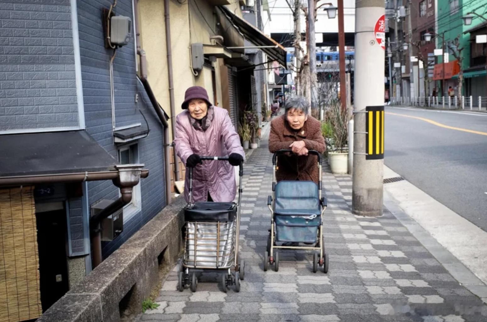 马英九家人申请“辅助宣告”引关注 高龄照护与金融安全议题再成焦点海外新鲜事 马英