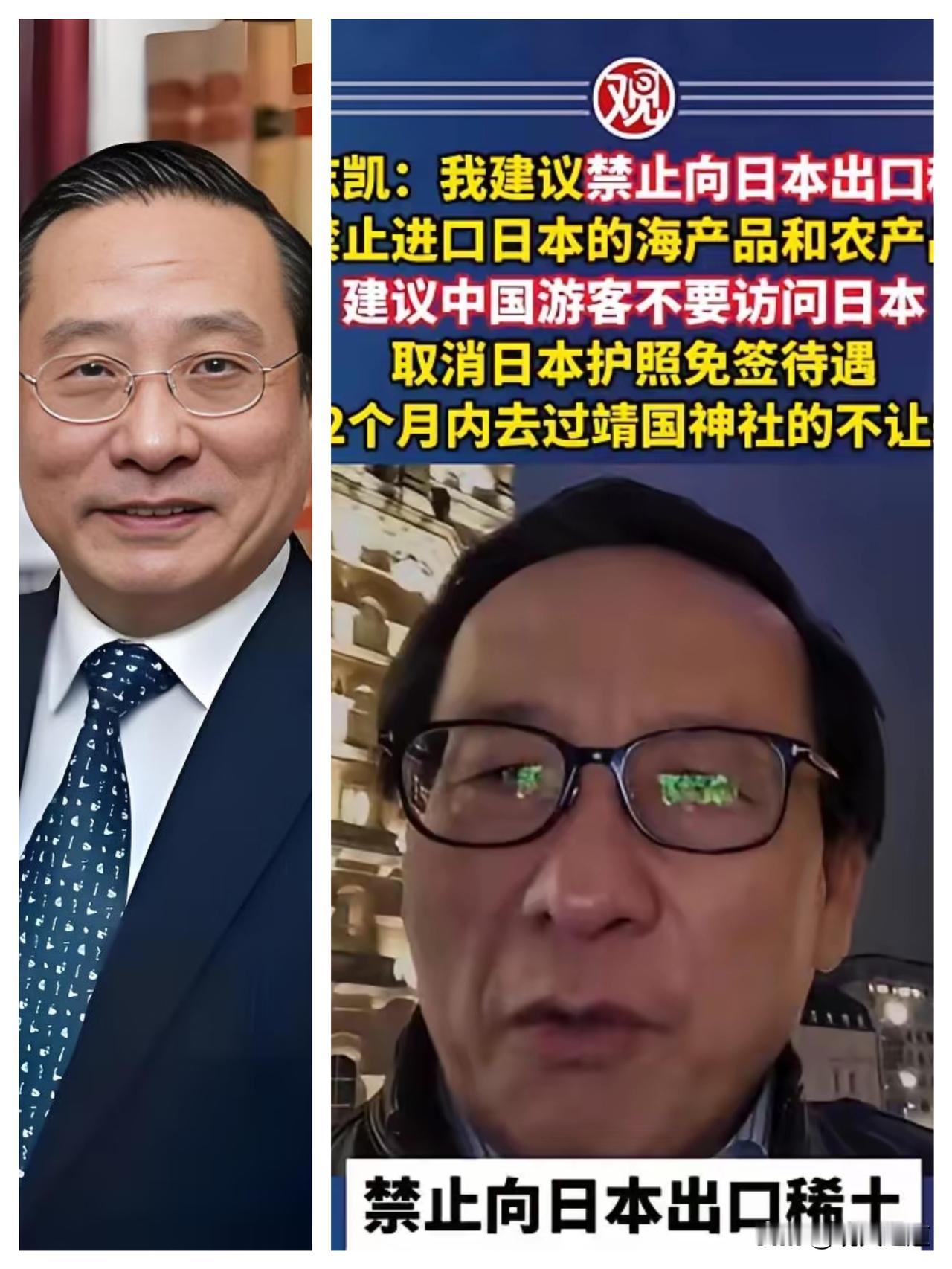 高志凯这波建议太刚了！禁止对日出口稀土、停购海产农产，这可不是随口说说，每一招都