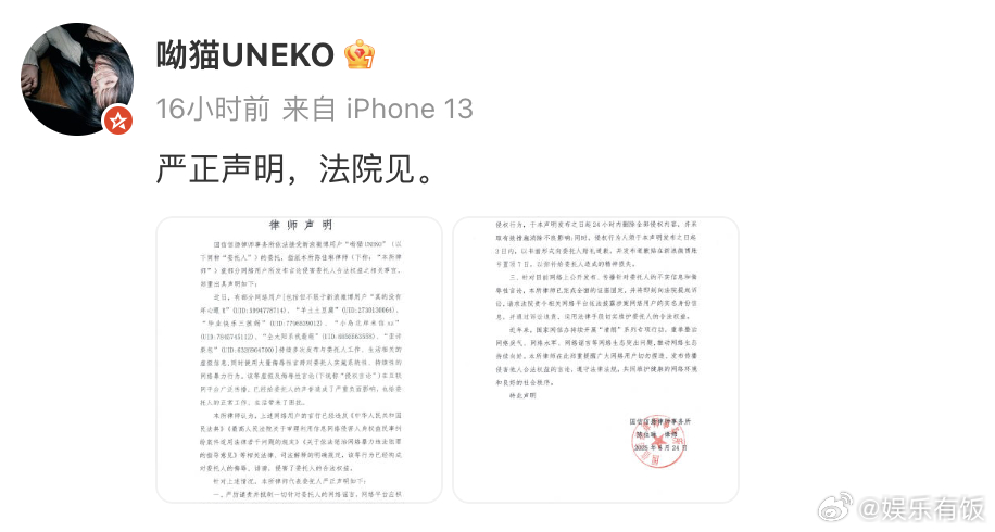 歌手呦猫UNEKO被侵权  歌手呦猫UNEKO发声明维权  以演唱国漫、游戏及二