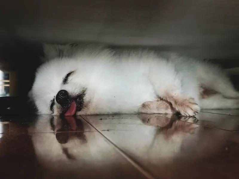 懒和穷哪个更可怕？我觉得懒更可怕。穷只是一时的困境，像很多出身贫寒的人，通过努力