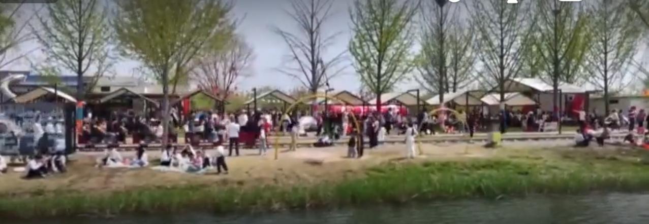 春风浩荡，繁花竞放，全国文旅市场迎来“春和景明”的消费热潮。郁金香花海中，红粉白