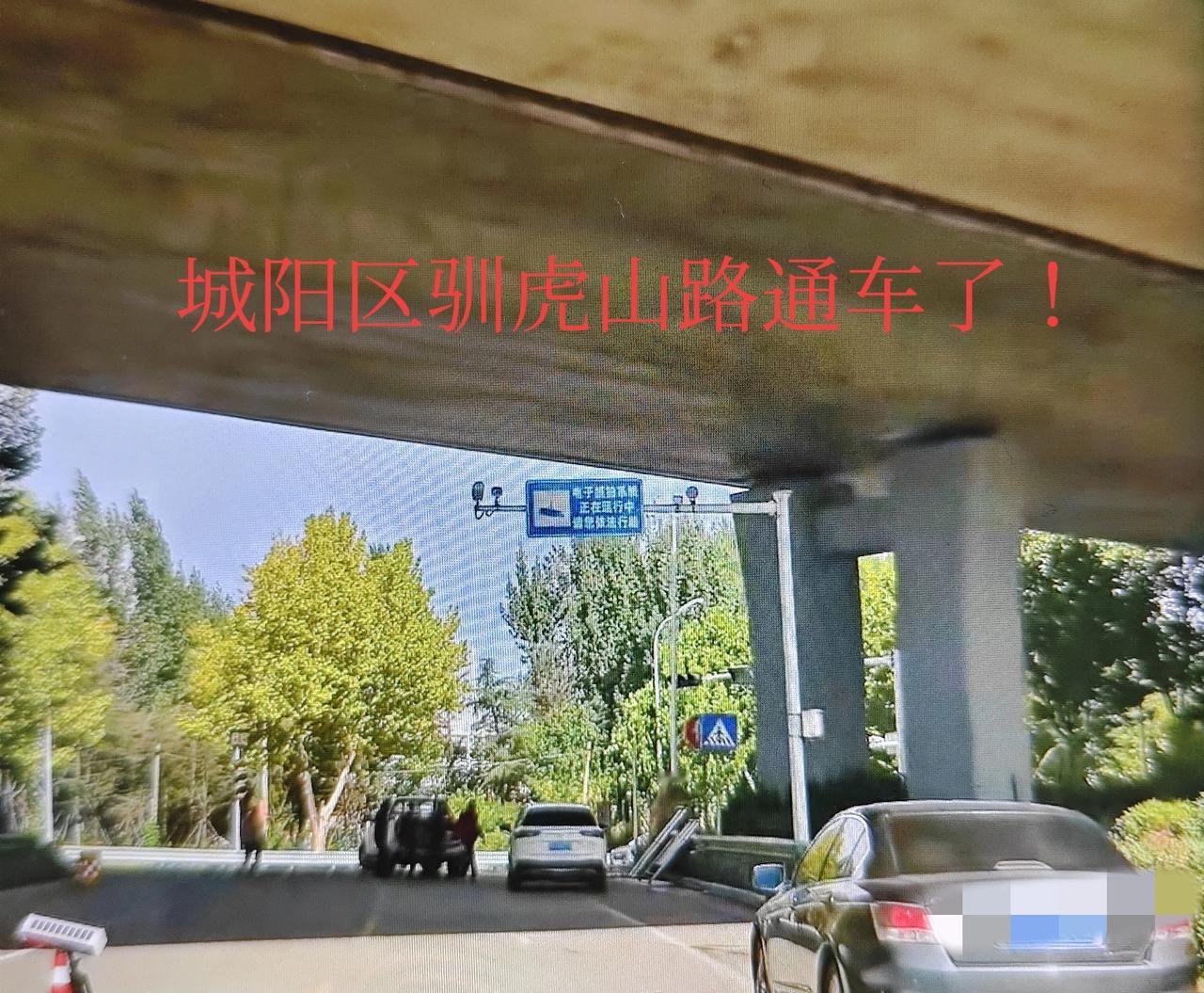 青岛市城阳区驯虎山路与204国道路口的围挡今天终于拆除了，封闭了半年的驯虎山路通