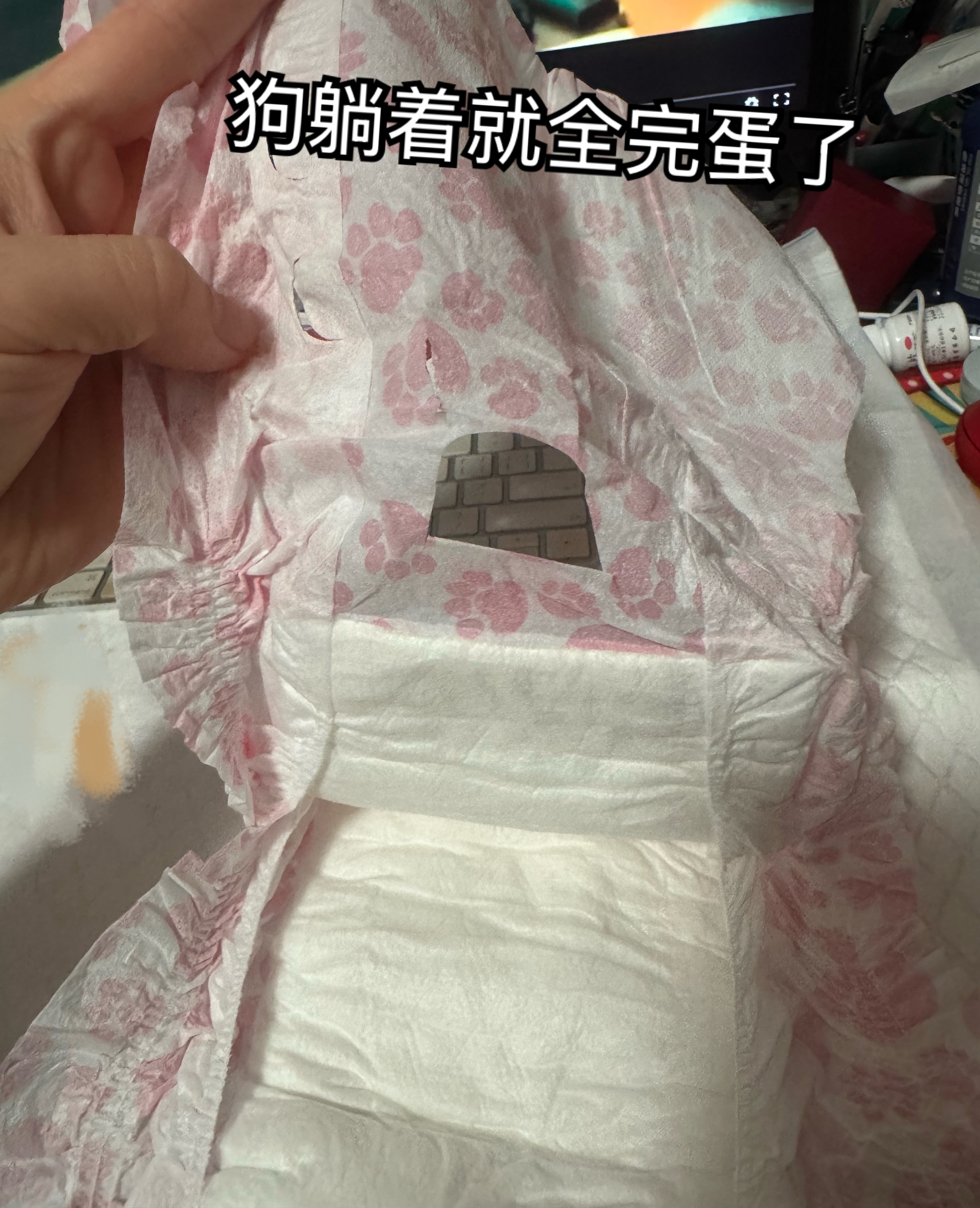 买个宠物纸尿裤，费了牛劲了。。。买了好几天买不到一个合适的。前几个月可以凑合，现