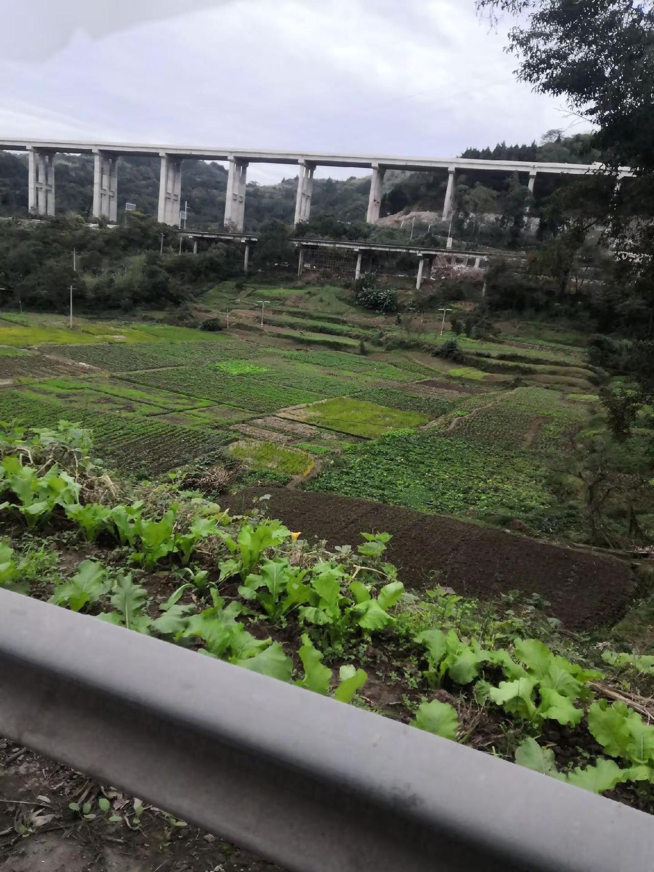 冯店风采，农村的高架桥也是惹人喜爱的，虽然没有城市的高架桥那么热闹和繁华，日常生