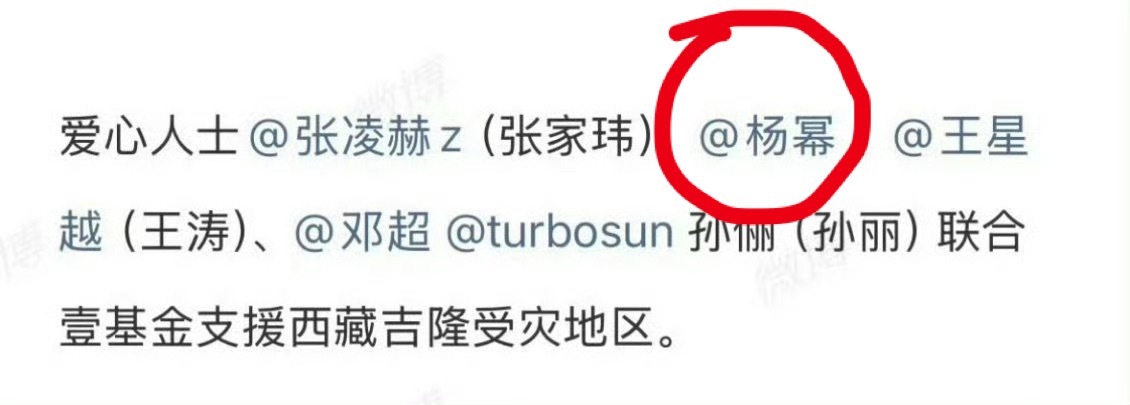 为西藏灾区捐款的明星杨幂默默参与公益，携手壹基金驰援西藏吉隆受灾地区。力所能及送