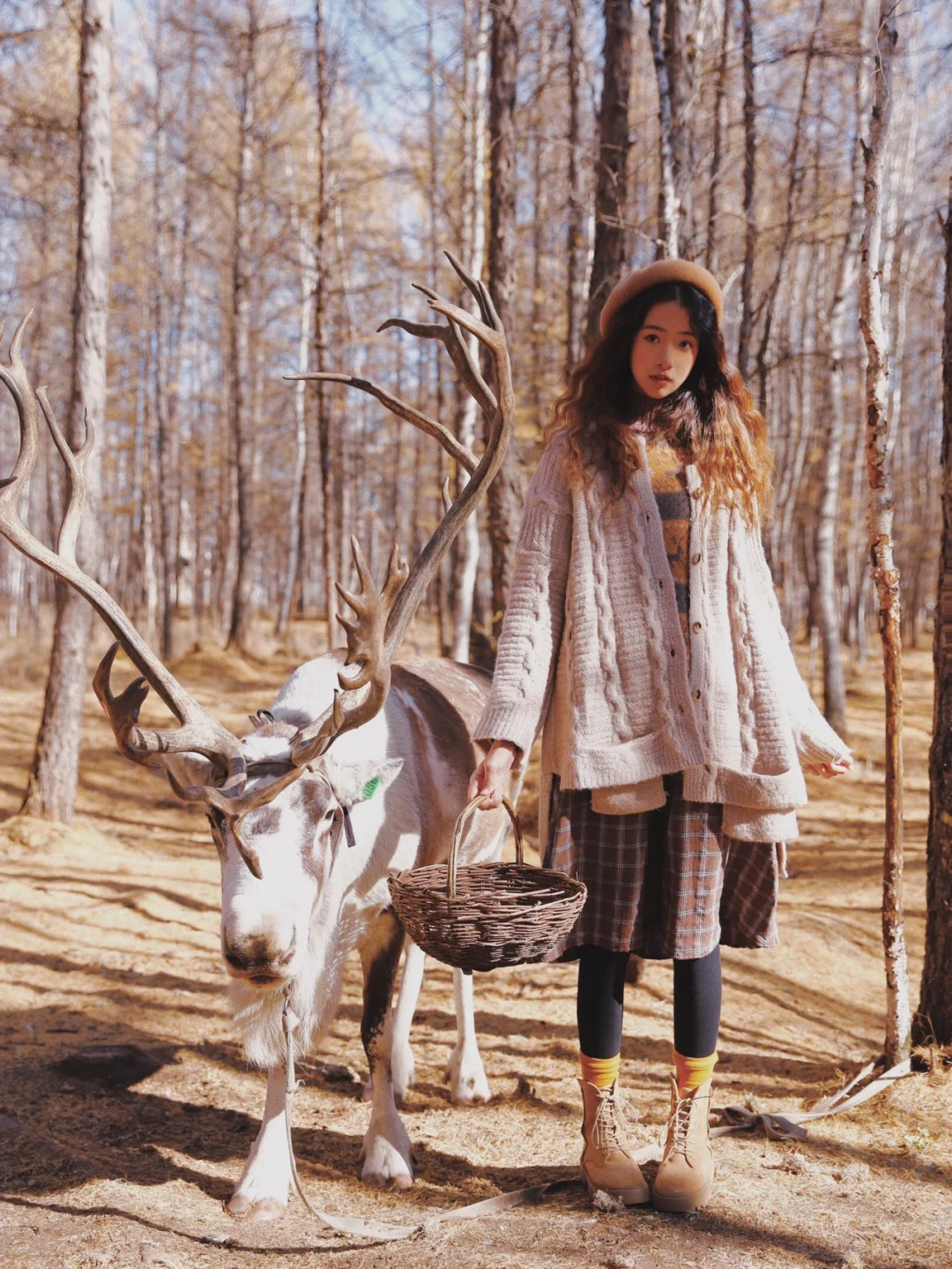 天啊！我居然在国内rua到了驯鹿🦌！