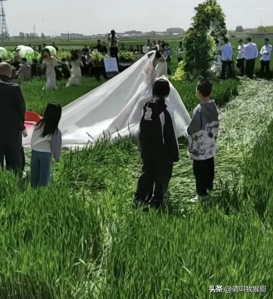 如果有人话一千块钱租你这一小块麦田，你租吗？