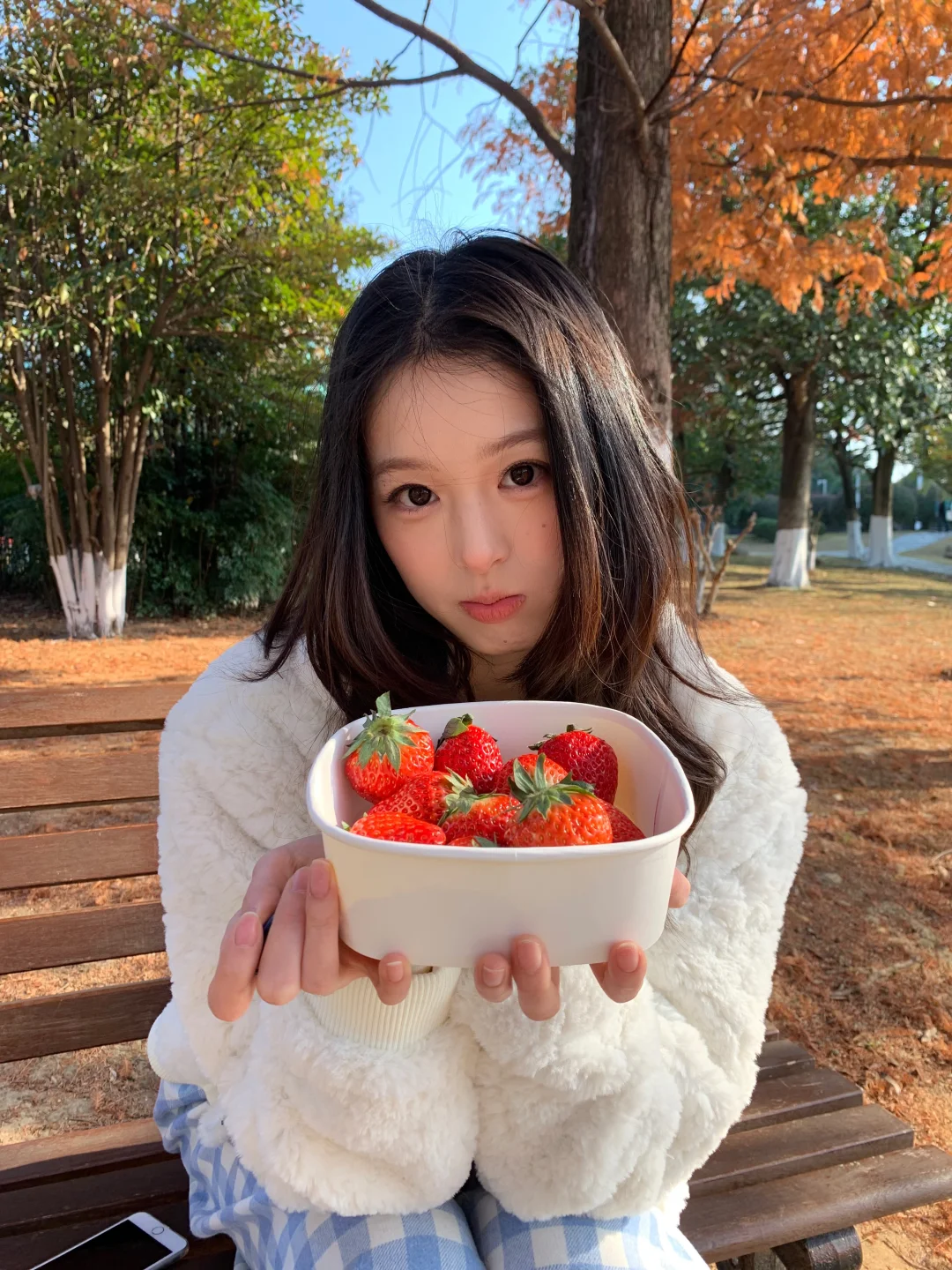 吃草莓(˘▽˘)っ🍓