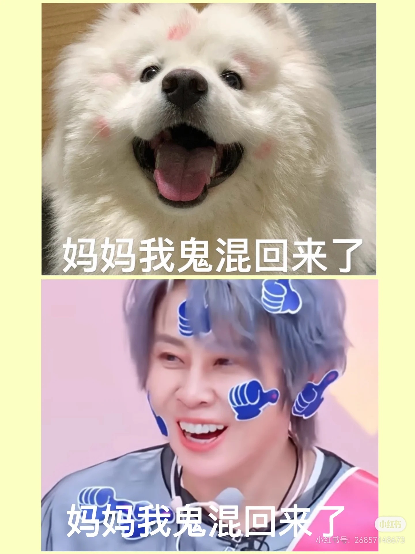 王濛 “妈妈 我鬼混回来了 ”哈哈哈哈哈哈哈 