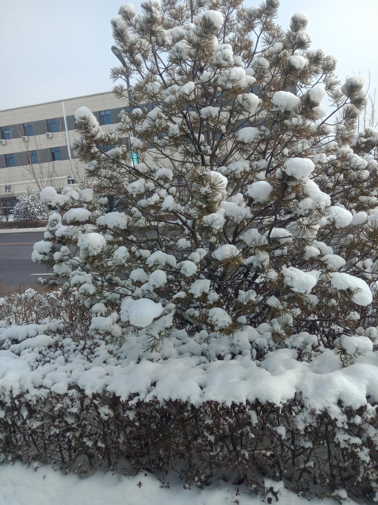 没有责任感的人真的不配结婚，不管是男人还是女人！

他爹想不明白我为啥不爱这个家