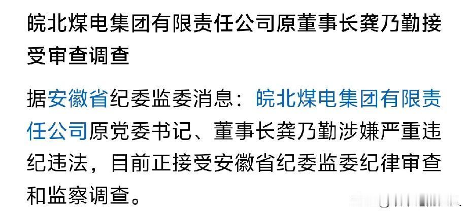 难道这是煤电领域新年第一虎吗？煤电！煤电！既吃煤又吃电，这只老虎应该不小吧？