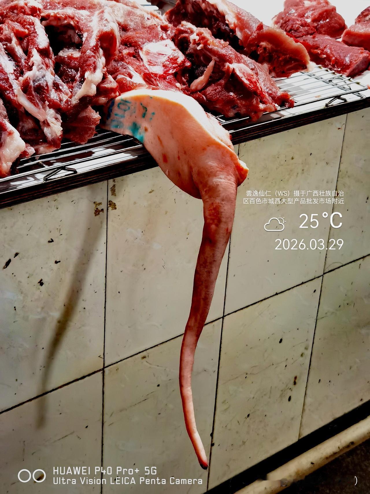 旅居生活记录（9430）广西壮族自治区百色市（115）逛城西大型农产品批发市场1