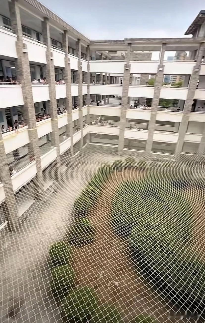 学校看到的布置，你悟到了什么？

前几天小学家长开放日，参观了小学生的学习环境，