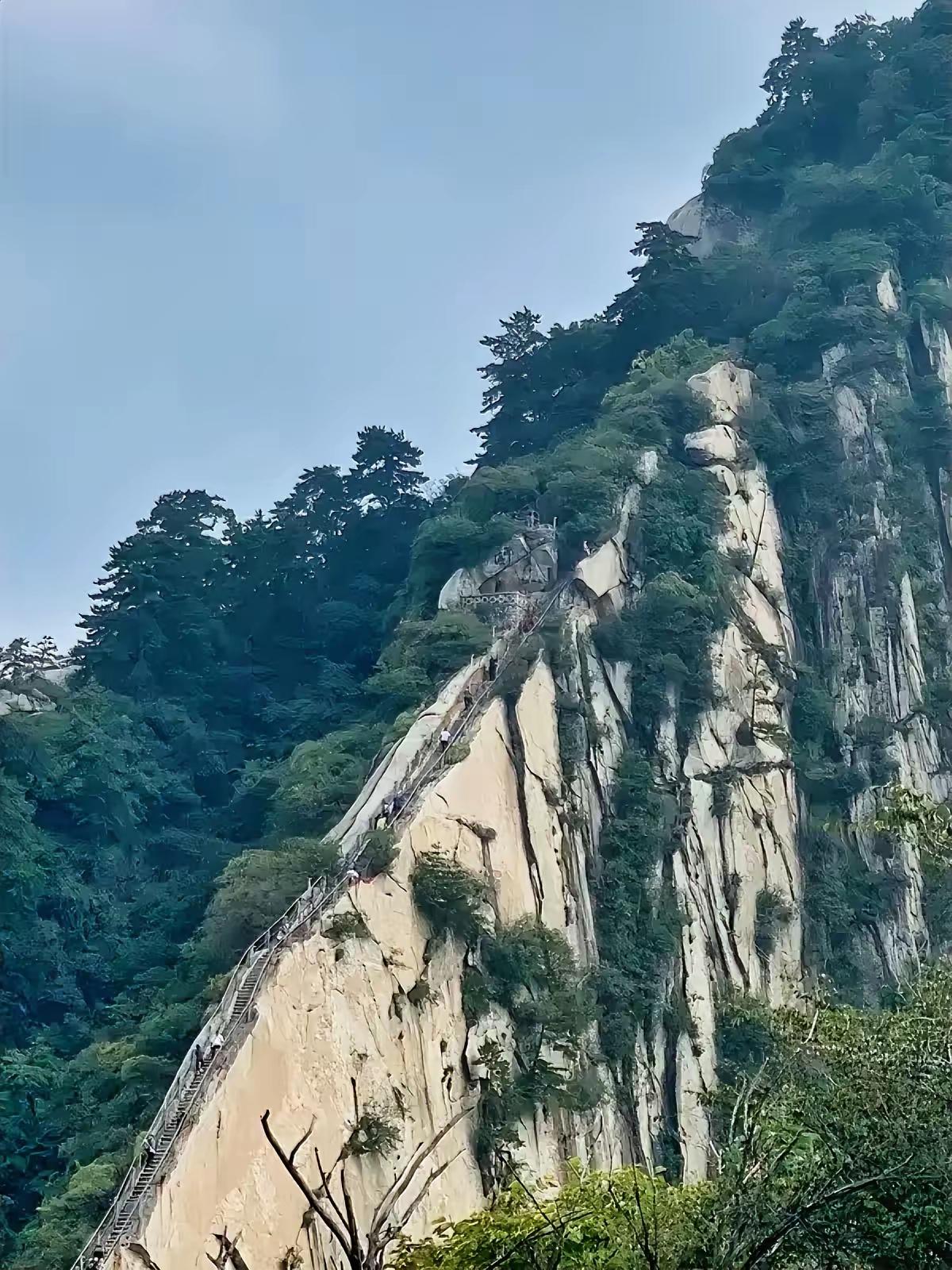 疯了！女子一天两刷华山，刚下山就被景区电话找上门，网友：以为要被拉黑
 
谁能把