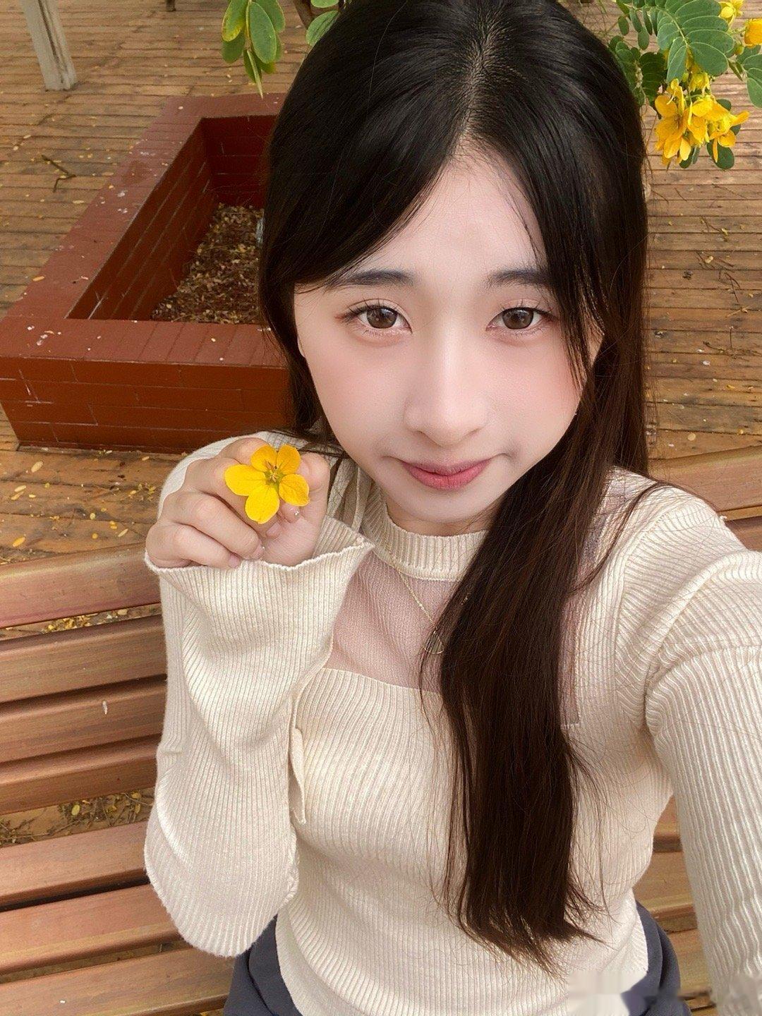 故事感的黄槐花🌼  ​​​