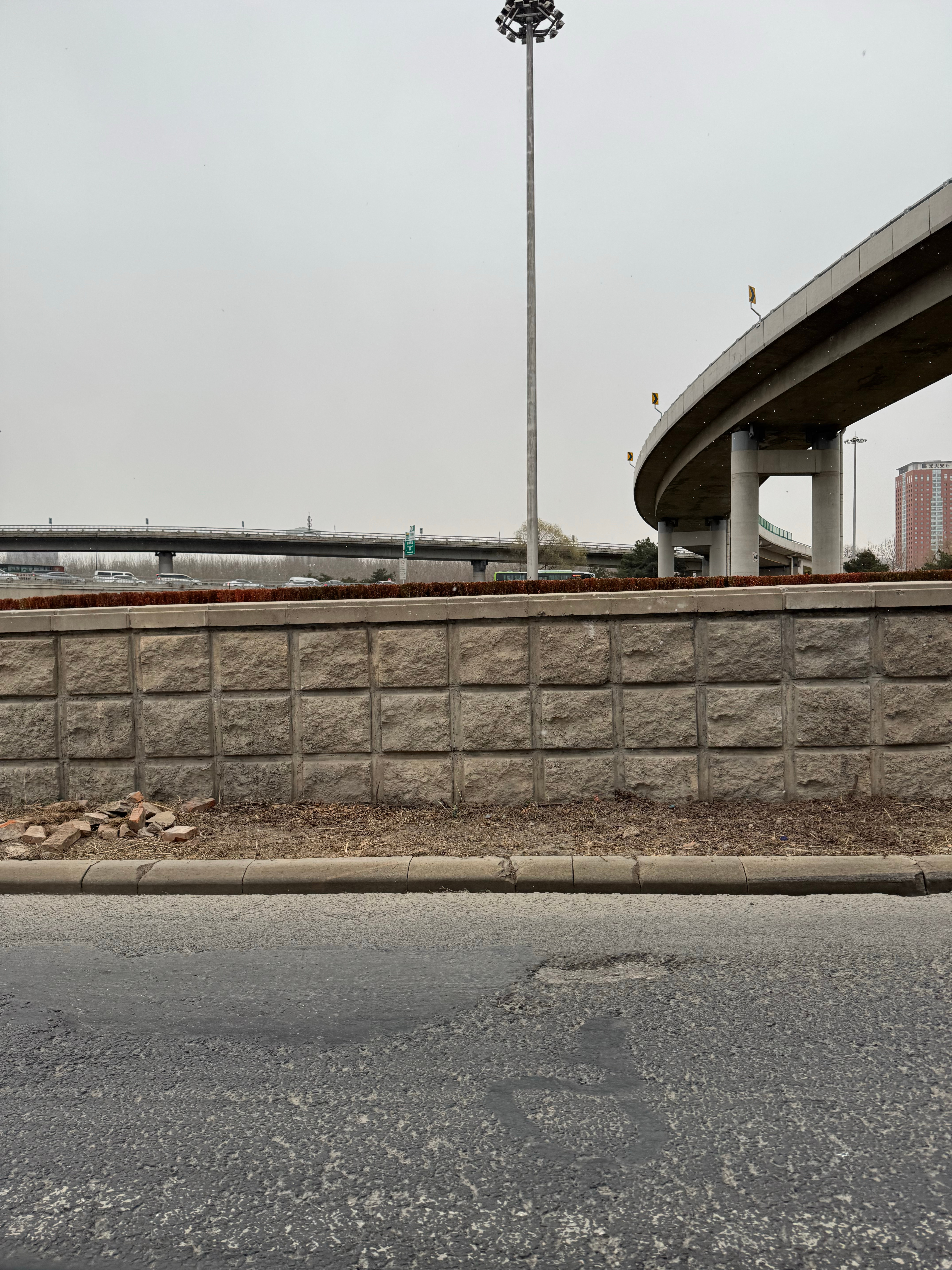 北京下雪 也算是赶上北京第一场雪了❄️你别说速度来的还挺快！ 