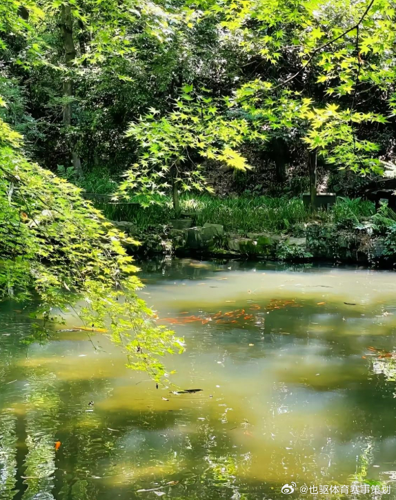 每日一善 沧桑的白天，凄惨的夜里;我都在守候着一声声叹息，坐在阴暗的角落，疯狂的