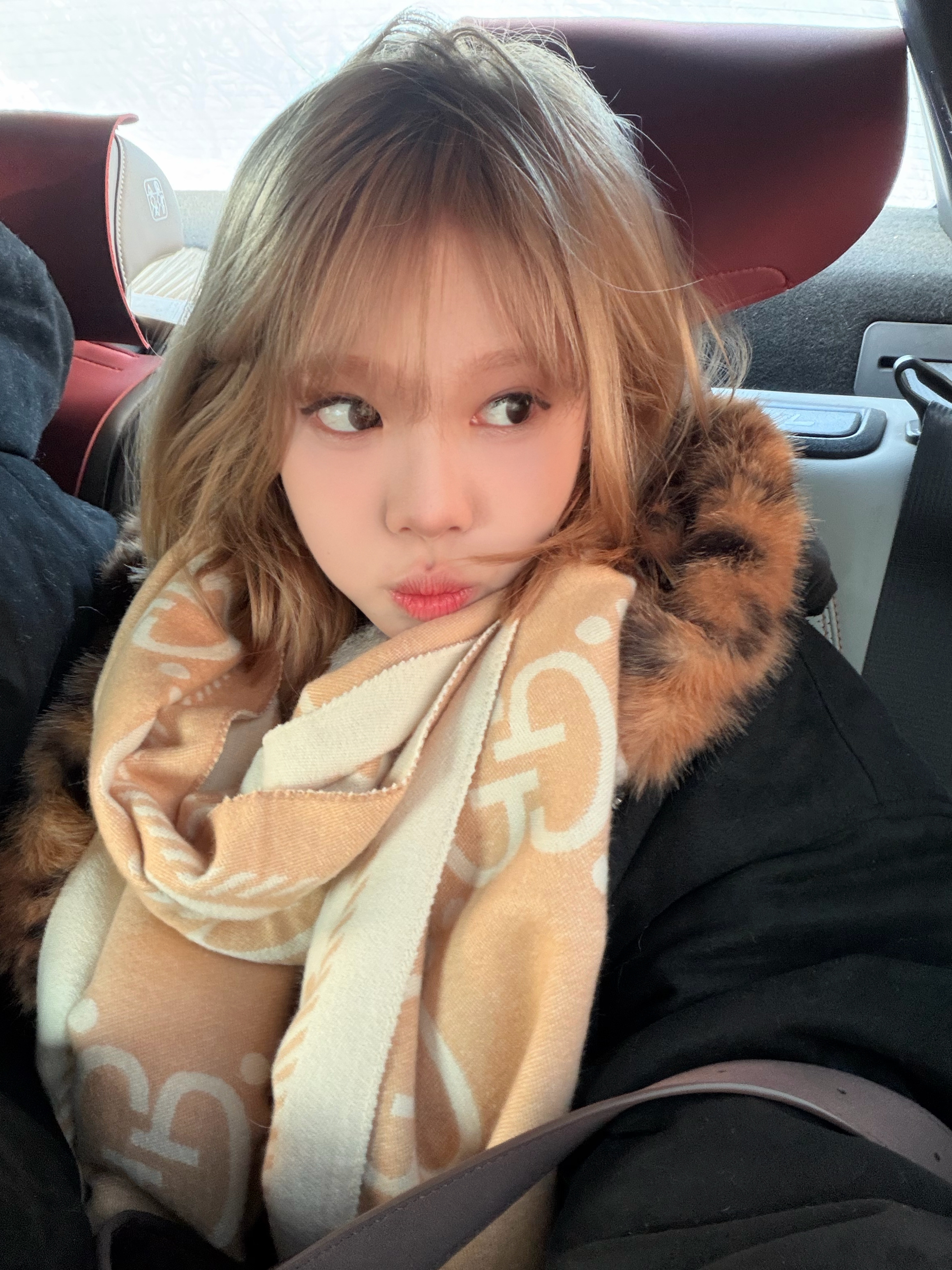 冬日幸福時⸝⸝>ヮ<⸝⸝。⋆ 