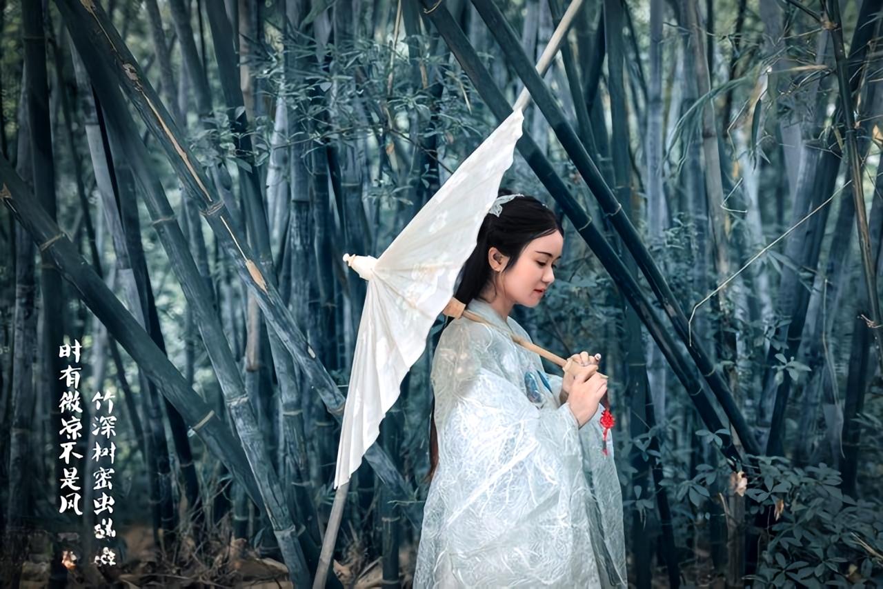 上联：听雨听风听古韵，下联怎么对下联：煮茶煮酒煮闲情