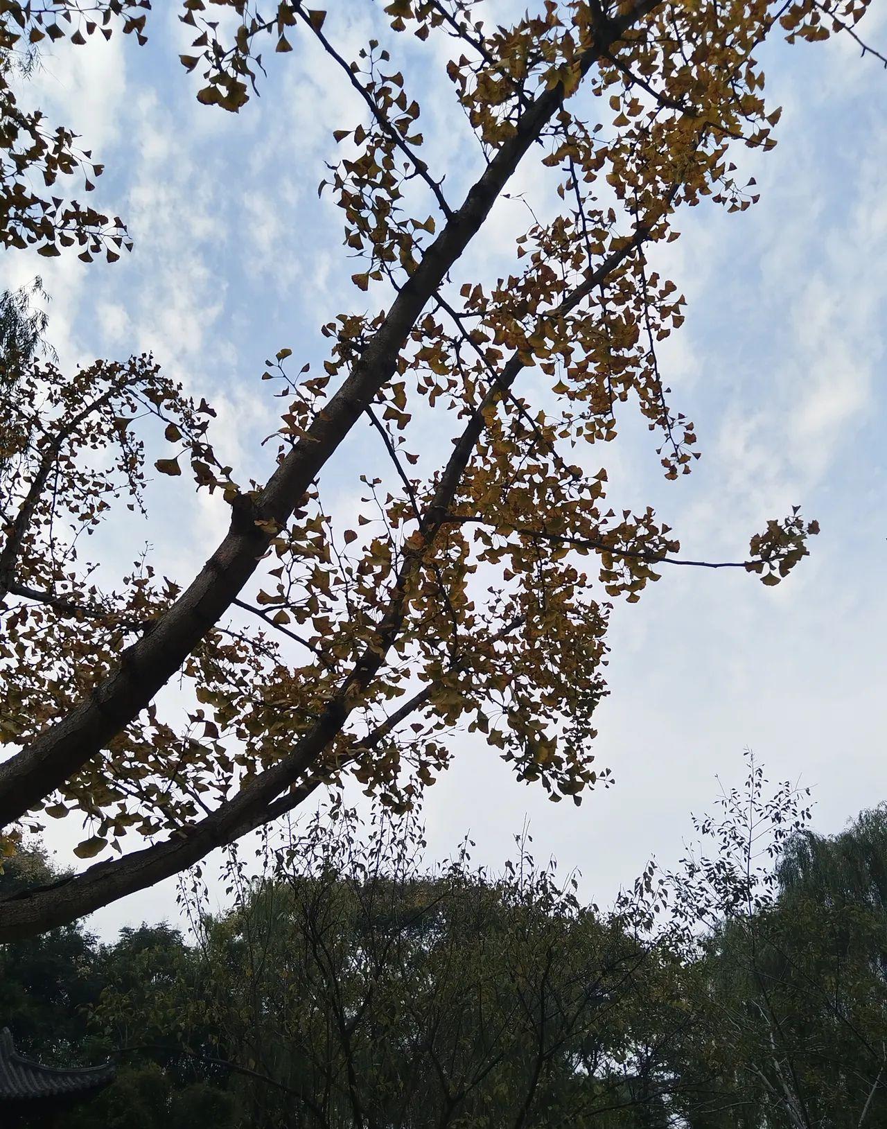 奉劝所有做父母的，当你的孩子请你吃大餐，带你出去玩，给你买新衣服，金链子。

不