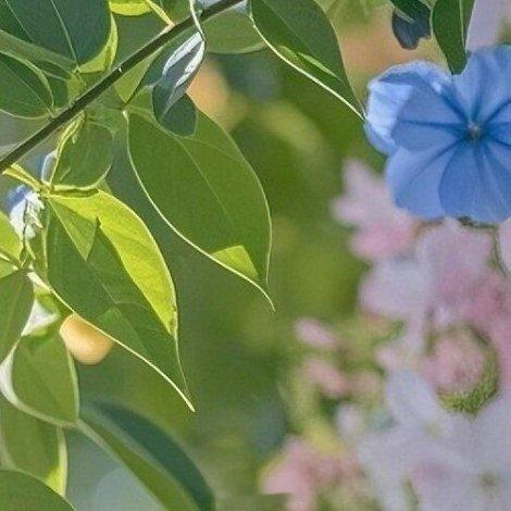 漫长的一生，谁都会有大大小小的遗憾。当结局无法更改的时候，内心强大的人，不会去执