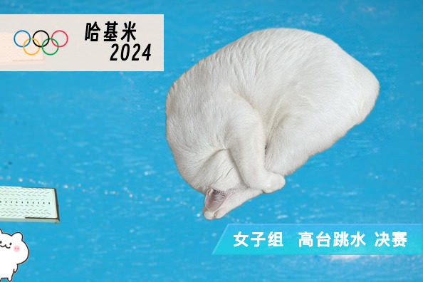 什么？！已经是决赛了？！ ​​​