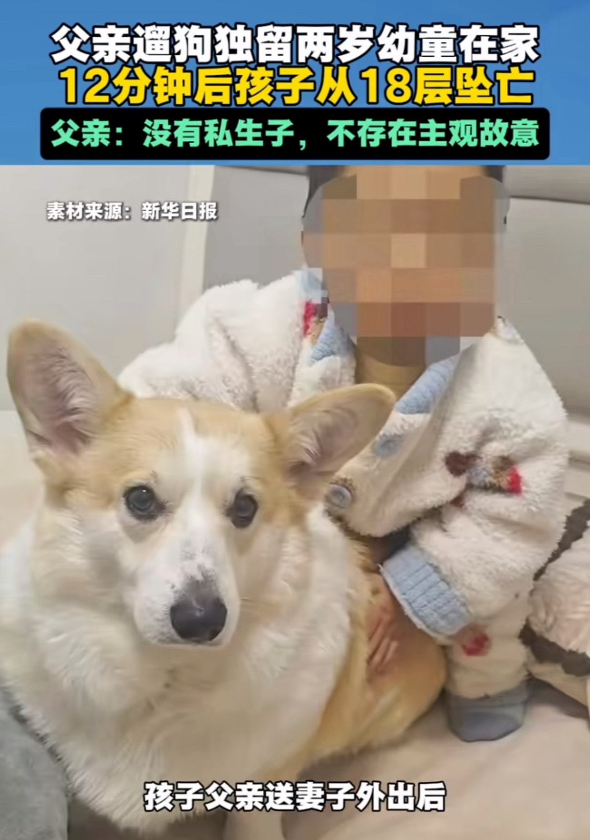 父亲遛狗幼童坠亡称已将狗处理这件事疑点太多，建议好好查一查 1、遛狗不带娃（孩子