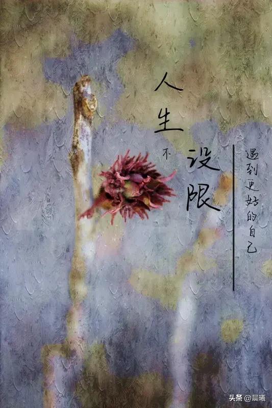 让我人生醒悟的一句话是“种一棵树最好的时间是十年前，其次是现在”。曾经我总因错过