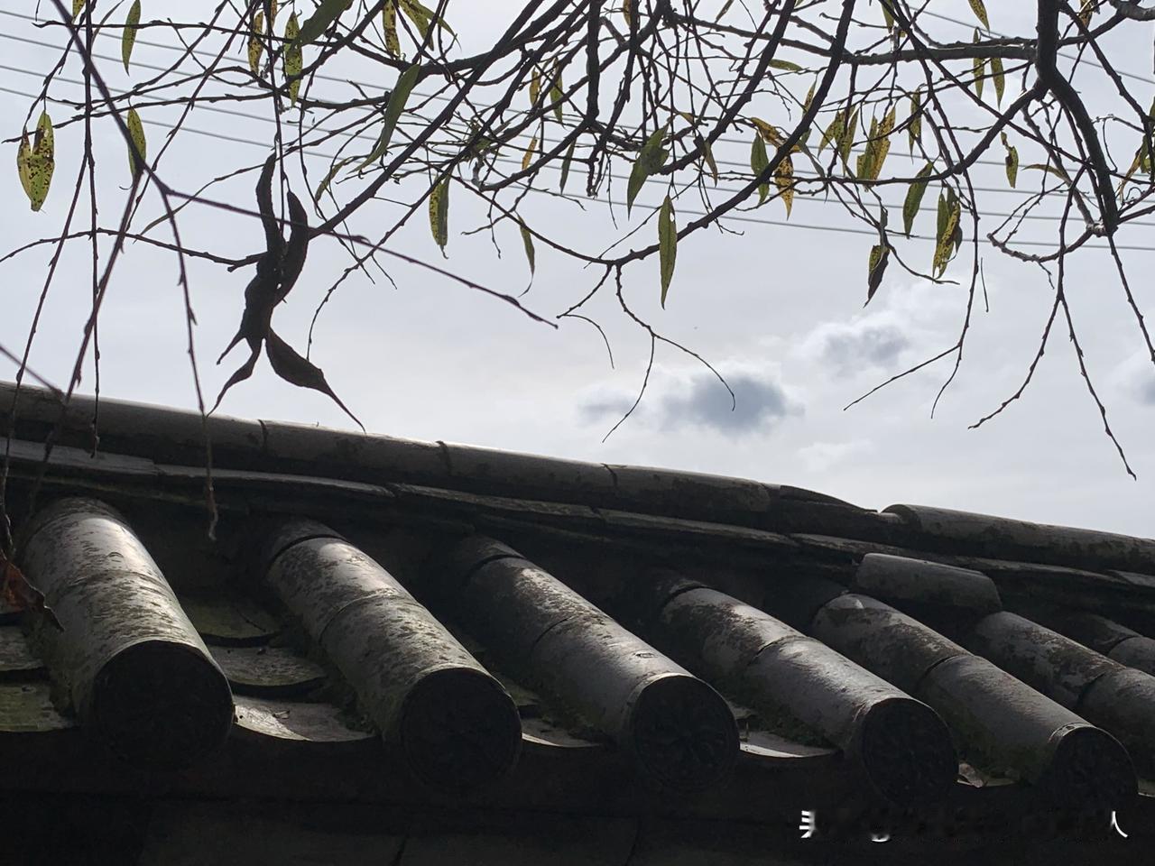 给哪一个国家援助都不生气，偏偏这个菲律宾。

但官方已经正式宣布了，这次援助是板