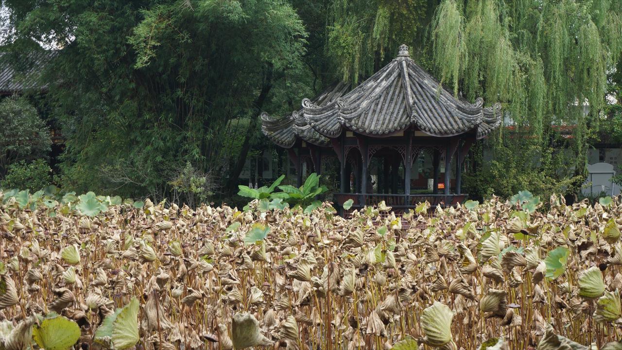 【云斋札记】点苍山游记（明·杨慎）
二月辛酉，自龙尾关窥天生桥，夜宿海珠寺，候龙