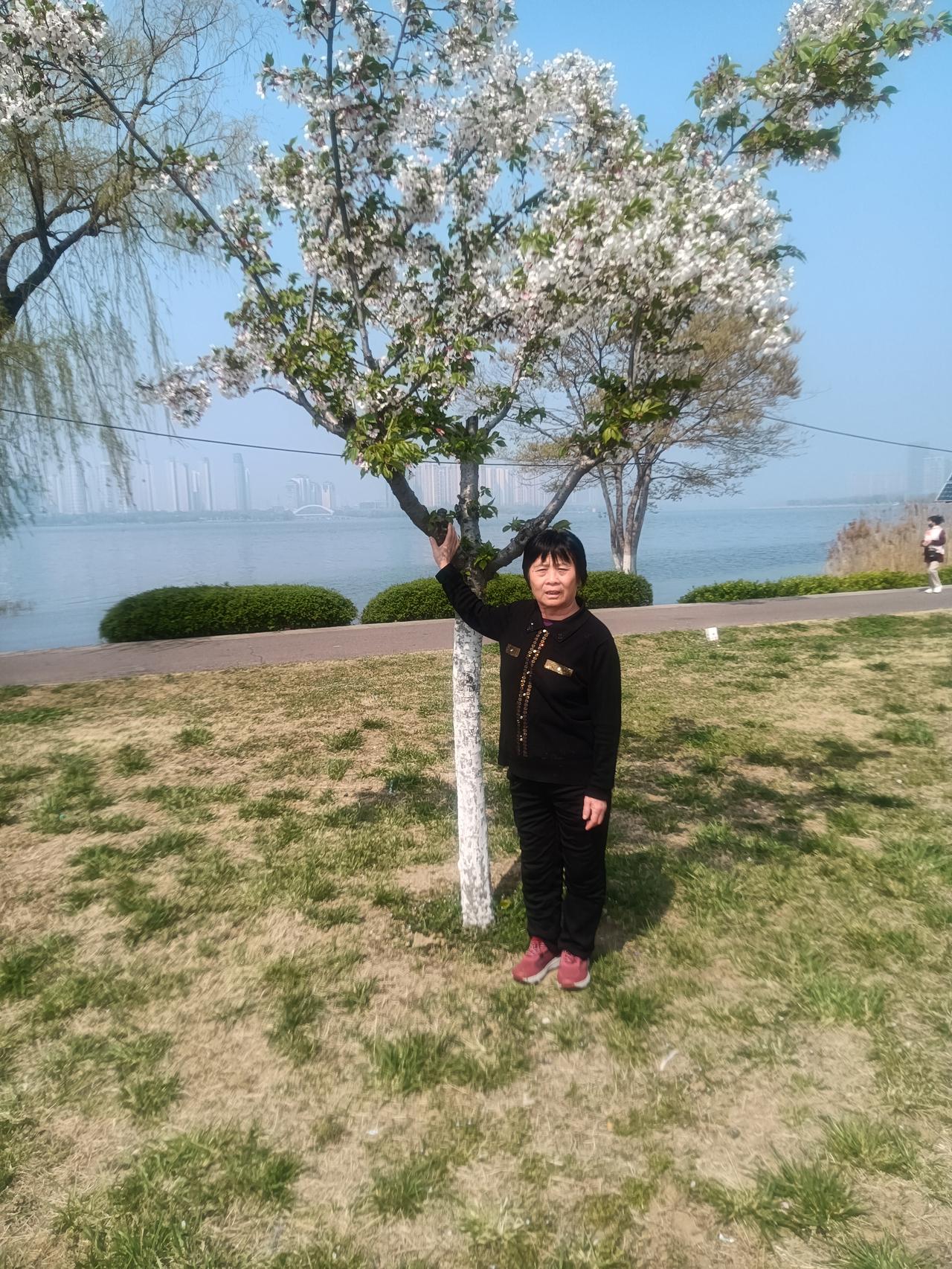 台湾
文/李兴伟
台陆分居七十年，
国民党人不掌权。
而且现在搞内斗，
使得民众