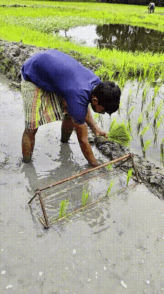 形式主义害死人[打脸][打脸]