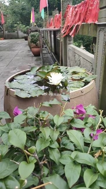 在人生低谷时，总有一个转机让你重新看到希望；或者，当你帮助他人时，冥冥之中自己也