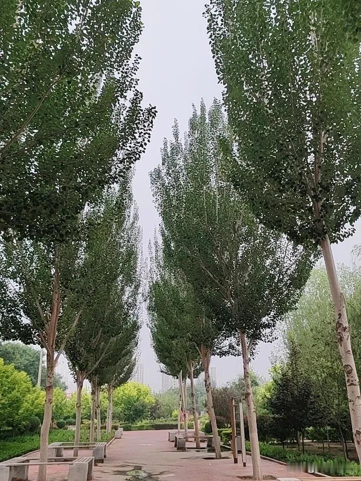 有多少网友们赞同这个说法的？
不管哪个平台，
取消一切视频发文收益，
取消打赏刷