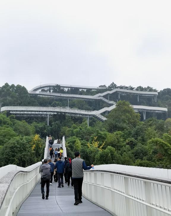 成都周边徒步好去处，龙泉山高空栈道
📍导航定位【龙泉山森林绿道高空栈道遇见广场