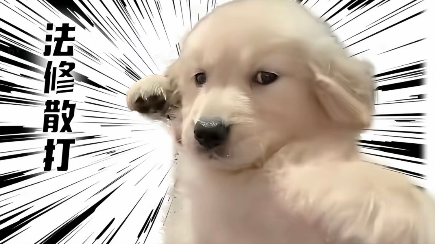 法修散打！ 👊🏻＞.＜👊🏻 