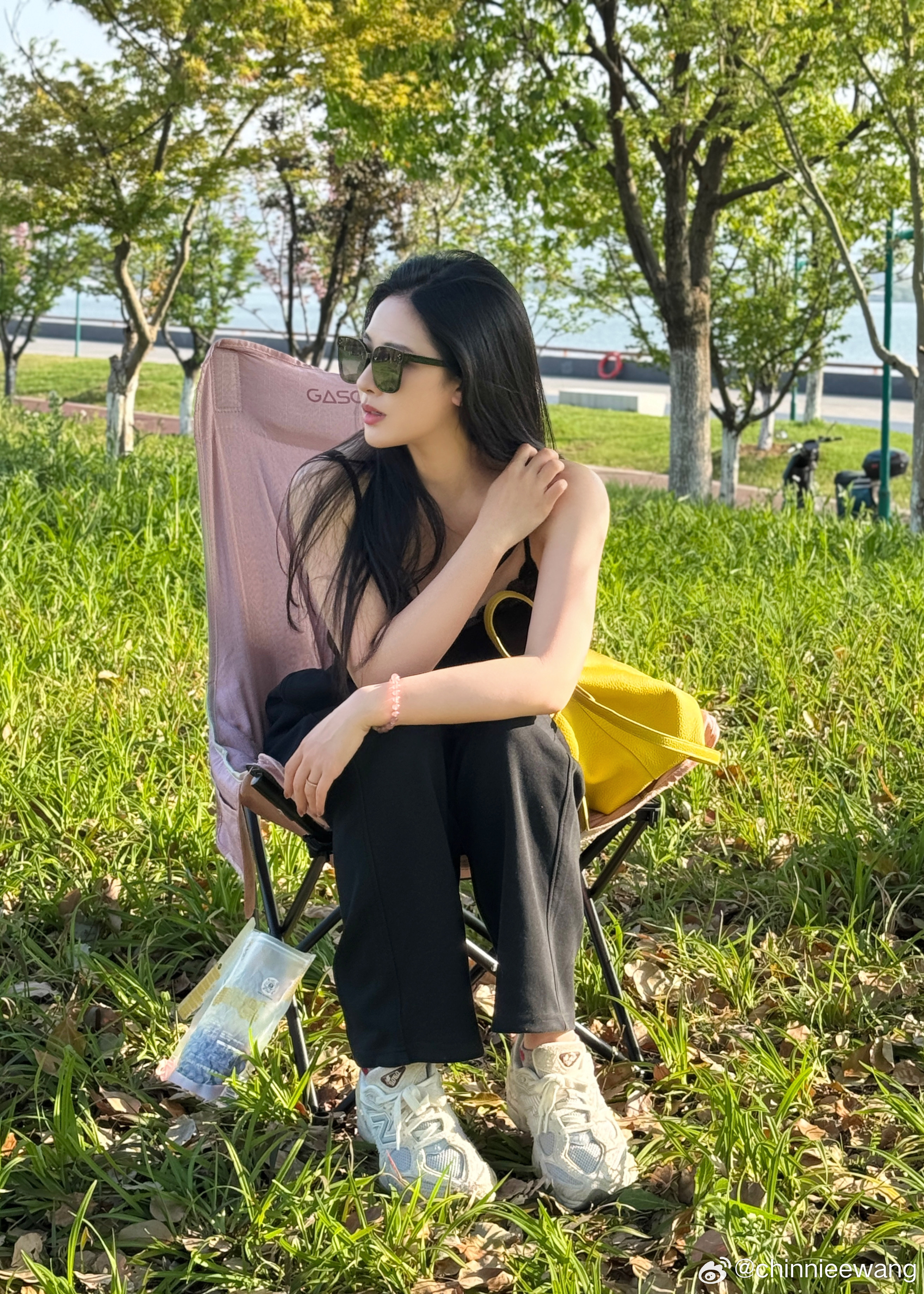 🍃 ​​​