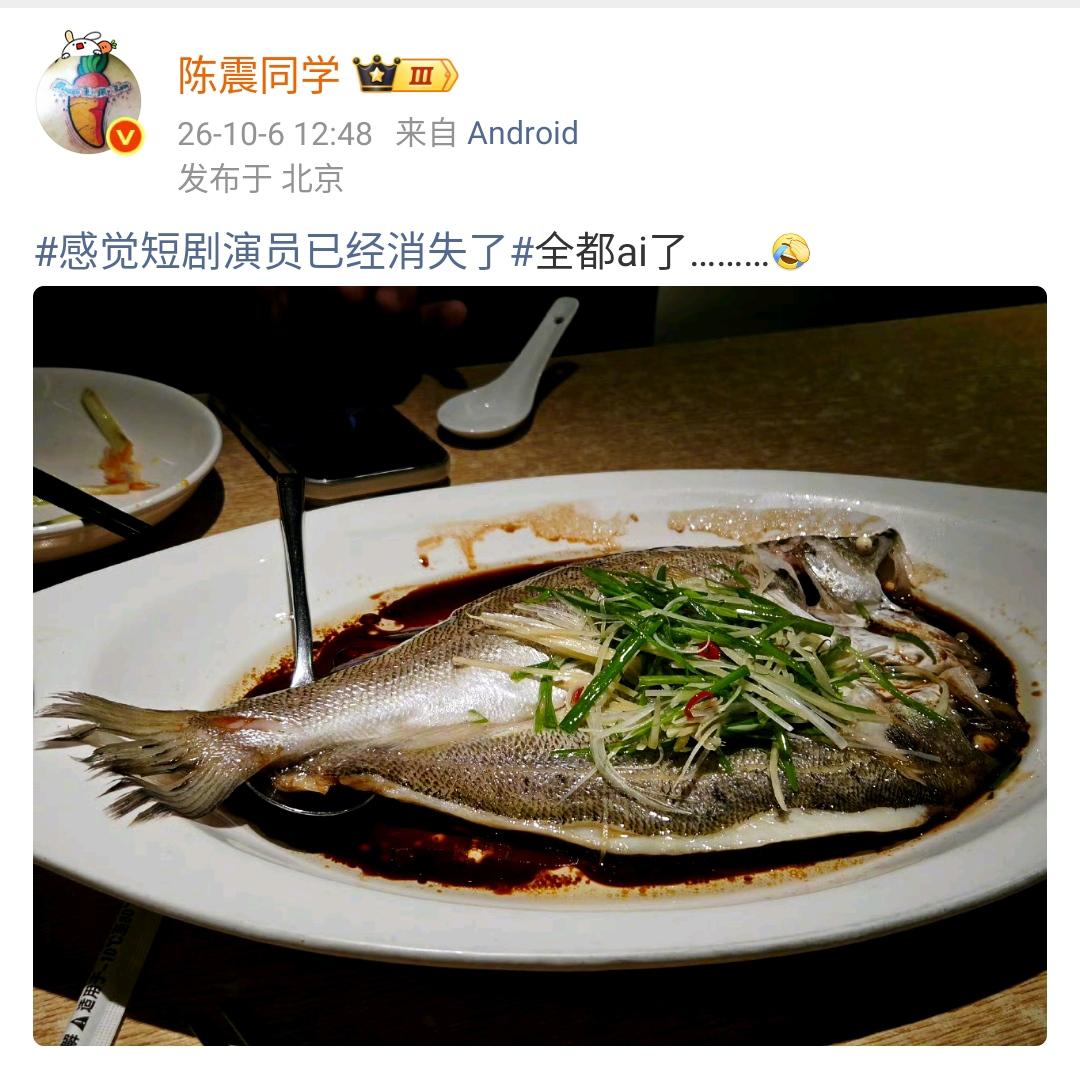 陈震：感觉短剧演员已经消失了全都ai了………[允悲]  ​​​

实话实说，那些