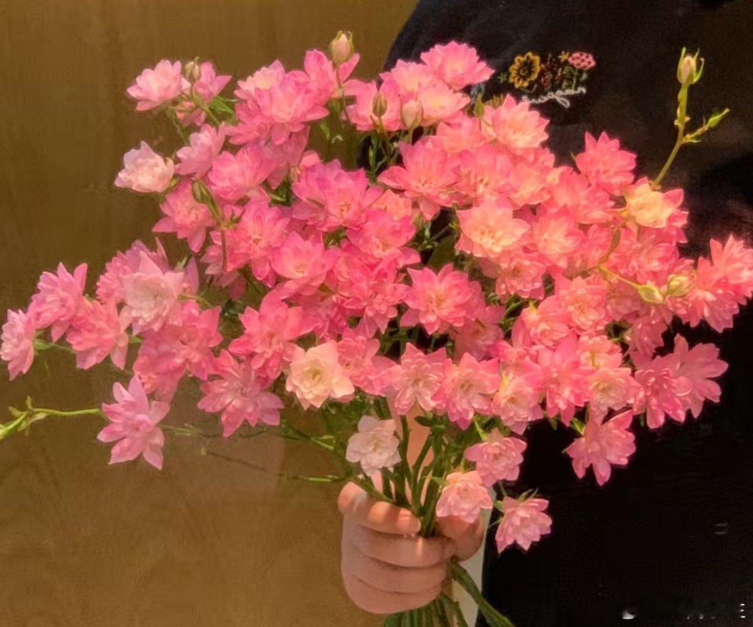 大自然真的是太神奇了，怎么可以这么好看！ 