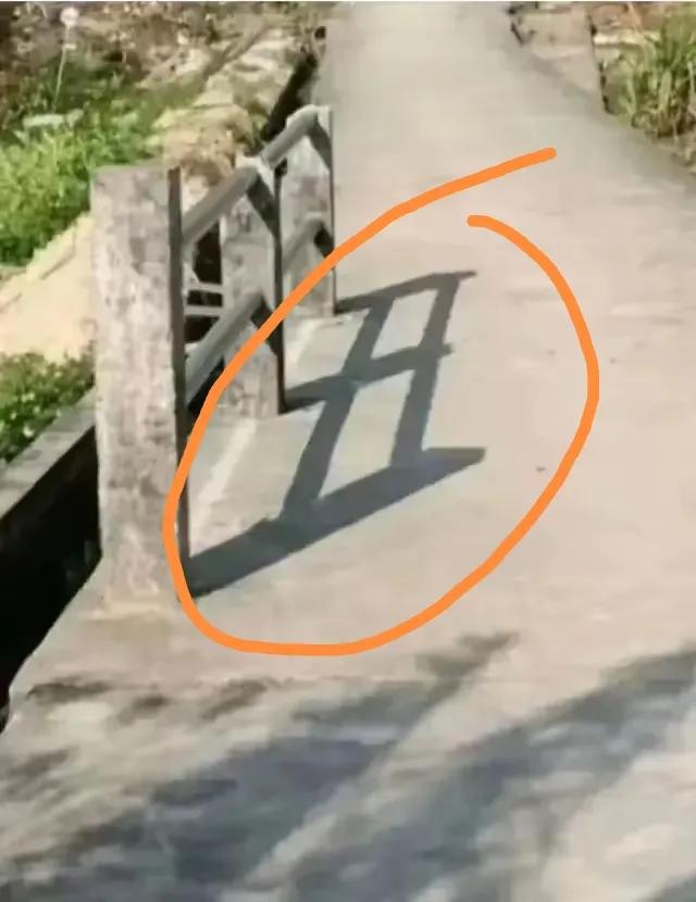 人性放在阳光下，就是这个样子！