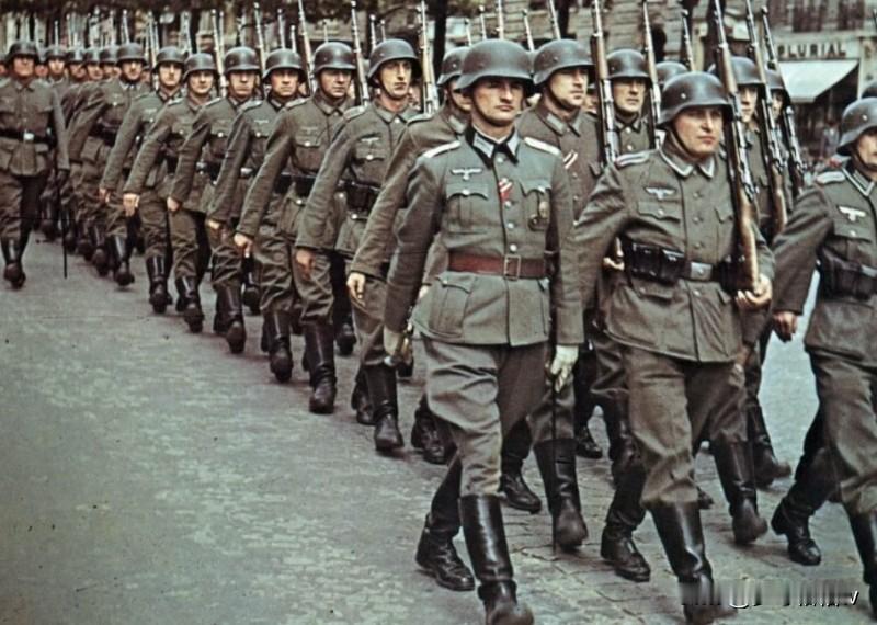 德三序号7步兵师组建于1934年10月的慕尼黑，不过和同期组建的其他德三步兵师情